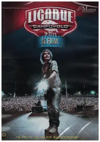 Luciano Ligabue - Ligabue Campovolo - Il film