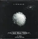 7inch Vinyl Single - Luciano Ligabue - Il Sale Della Terra