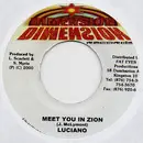 7inch Vinyl Single - Luciano / Sly & Robbie - Meet You In Zion