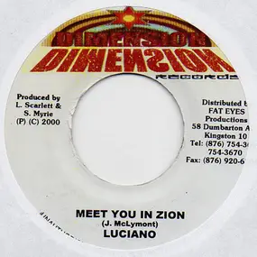 Luciano - Meet You In Zion