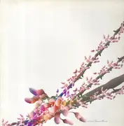 12inch Vinyl Single - Luciano - Yamoré Remix