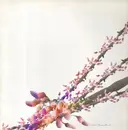 12inch Vinyl Single - Luciano - Yamoré Remix