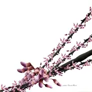 Luciano - Yamoré Remix