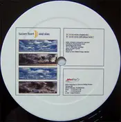 lucien foort - Vivid Skies