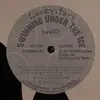 12'' - Luckystars - Swimming Under The Ice/ J. Tripwire Rmx