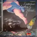 Double LP - Ludwig Hirsch - Liederbuch