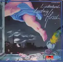 Double LP - Ludwig Hirsch - Liederbuch