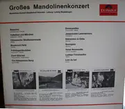 LP - Ludwig Mauelshagen , Mandolinen Konzert Gesellschaft Elberfeld - grosses Mandolinenkonzert