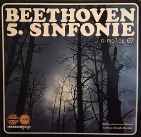 Ludwig Van Beethoven - 5. Sinfonie C-moll Op.67