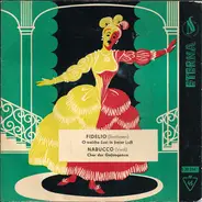 Beethoven / Verdi - Fidelio / Nabucco