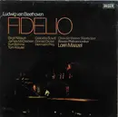 LP-Box - Beethoven - Wiener Philharmoniker - Fidelio - 2 Booklets