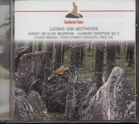 Ludwig Van Beethoven - Christ On Olive Mountain