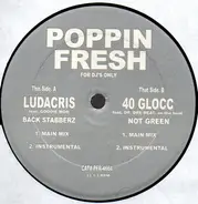 Ludacris , 40 Glocc - For DJ's Only