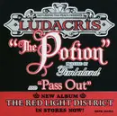 12inch Vinyl Single - Ludacris - The Potion / Pass Out
