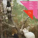 12'' - Lützenkirchen - Daily Disco