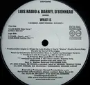 12inch Vinyl Single - Luis Radio & Darryl D'Bonneau - What Is