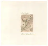 Luka Bloom - Before Sleep Comes