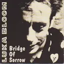 7inch Vinyl Single - Luka Bloom - Bridge Of Sorrow
