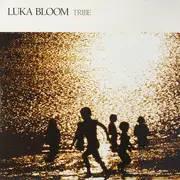 LP - Luka Bloom - Tribe