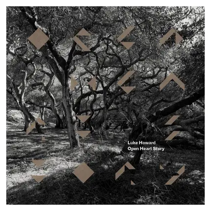 Luke Howard - Open Heart Story
