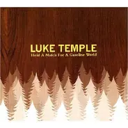Luke Temple - Hold a Match for a Gasoline World
