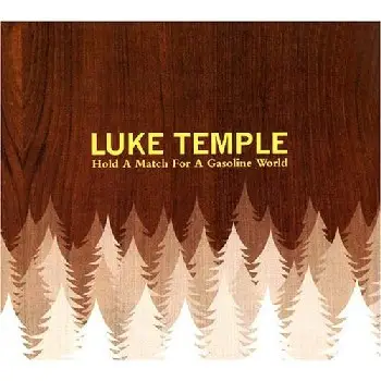 Luke Temple - Hold a Match for a Gasoline World