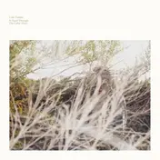 luke temple - A Hand Through The Cellar Door