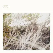 luke temple - A Hand Through The Cellar Door
