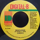 7inch Vinyl Single - Lukie D - Meditation