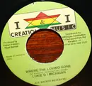 7inch Vinyl Single - Lukie D / Papa Michigan - Where The Loving Gone