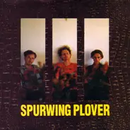 Lul - Spurwing Plover