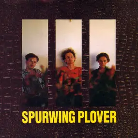 Lul - Spurwing Plover