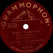 Lutz Templin Und Sein Tanzorchester - Kleiner Hampelmann / Hm-hm, Du Bist So Zauberhaft