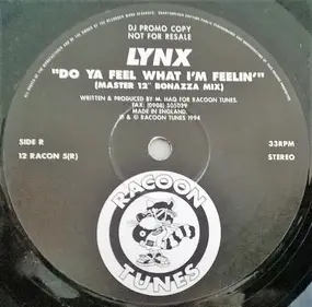 The Lynx - Do Ya Feel What I'm Feelin