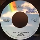 7inch Vinyl Single - Lynyrd Skynyrd - What's Your Name / I Know A Little - Gloversville Pressing