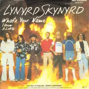 Lynyrd Skynyrd - What's Your Name