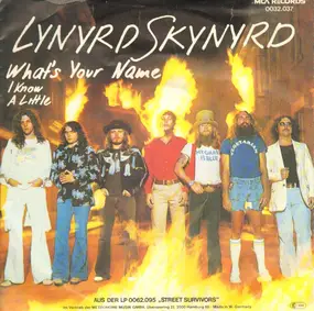 Lynyrd Skynyrd - What's Your Name