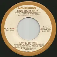 Lynyrd Skynyrd - Down South Jukin'