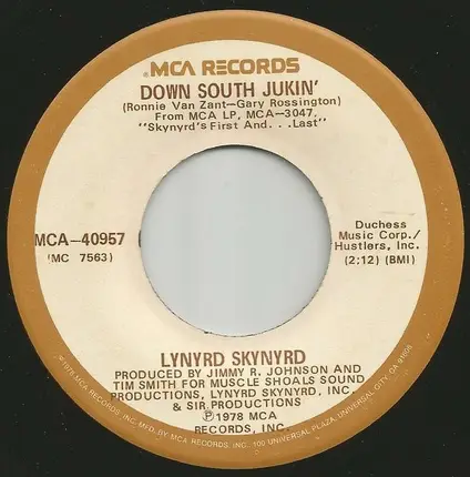 Lynyrd Skynyrd - Down South Jukin'