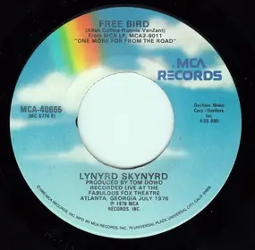 Lynyrd Skynyrd - Free Bird / Searching
