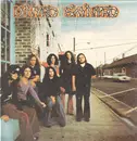 LP - Lynyrd Skynyrd - (Pronounced 'Lĕh-'nérd 'Skin-'nérd) - Gatefold