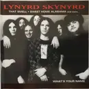 CD - Lynyrd Skynyrd - What's Your Name