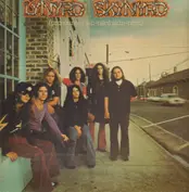 Lynyrd Skynrd