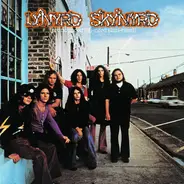 Lynyrd Skynyrd - Pronounced 'Leh-'nérd 'Skin-'nérd