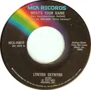 7'' - Lynyrd Skynyrd - What's Your Name / I Know A Little