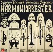 Lyngby-Taarbæk Skolernes Ungdoms-Harmoniorkester - Lyngby-Taarbæk Skolernes Ungdoms-Harmoniorkester / Gladsaxe Mandolin Orkester