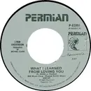 7inch Vinyl Single - Lynn Anderson - What I Learned From Loving You / Mr. Sundown