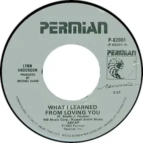 Lynn Anderson - What I Learned From Loving You