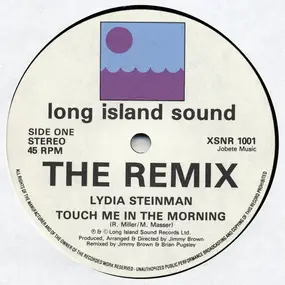 Lydia Steinman - Touch Me In The Morning (Remix)