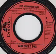 7inch Vinyl Single - Lyle McGuinness Band - Elise